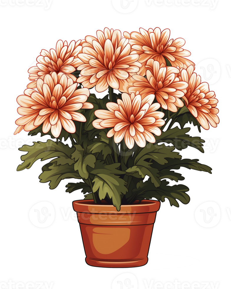 AI generated Chrysanthemum flower illustration in a pot isolated on transparent background png