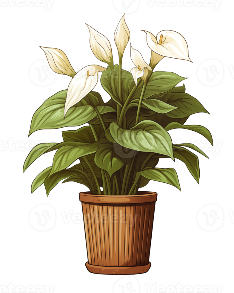 ai gegenereerd illustratie van anthurium fabriek in een pot Aan een transparant achtergrond png