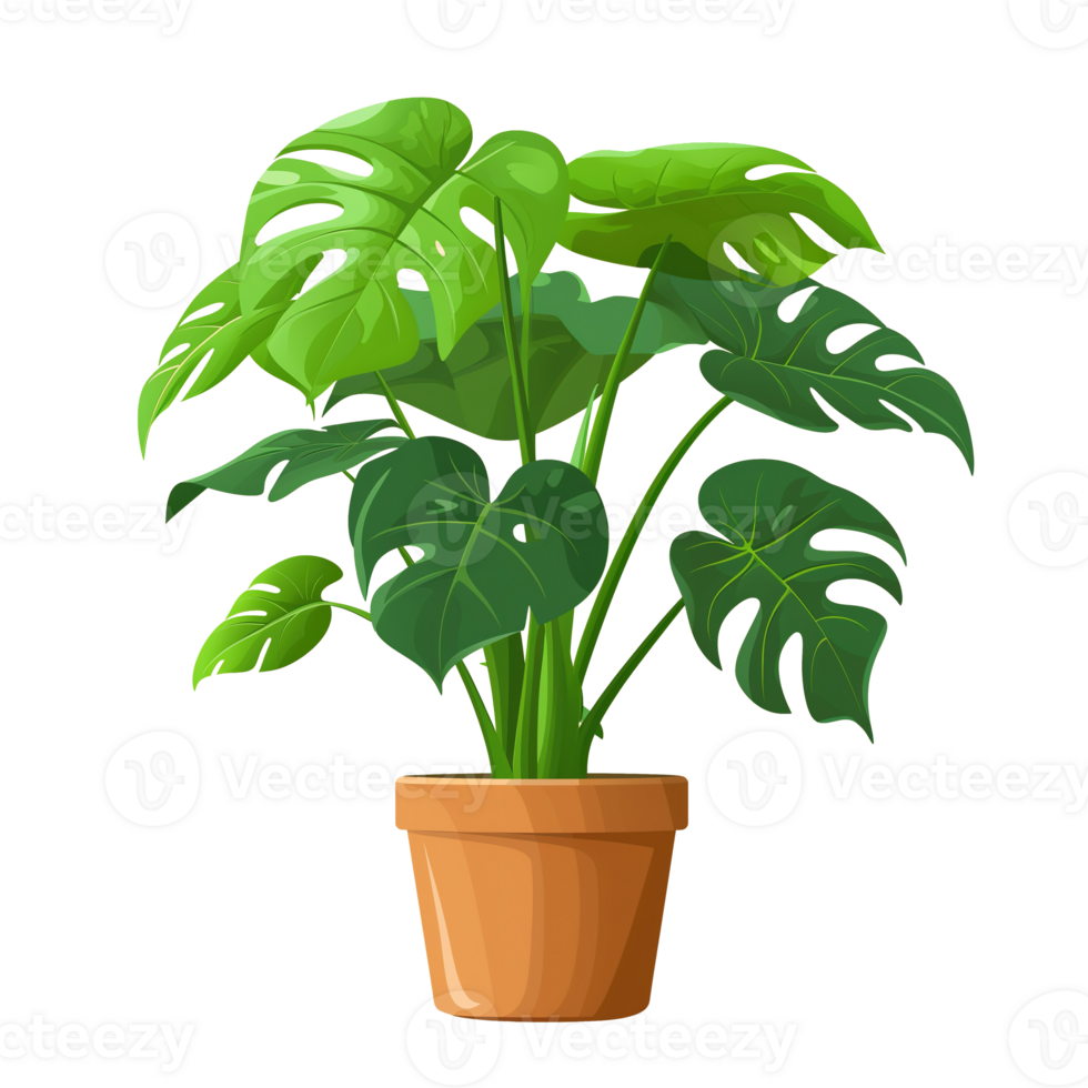 AI generated Monstera plant in pot isolated on transparent background png