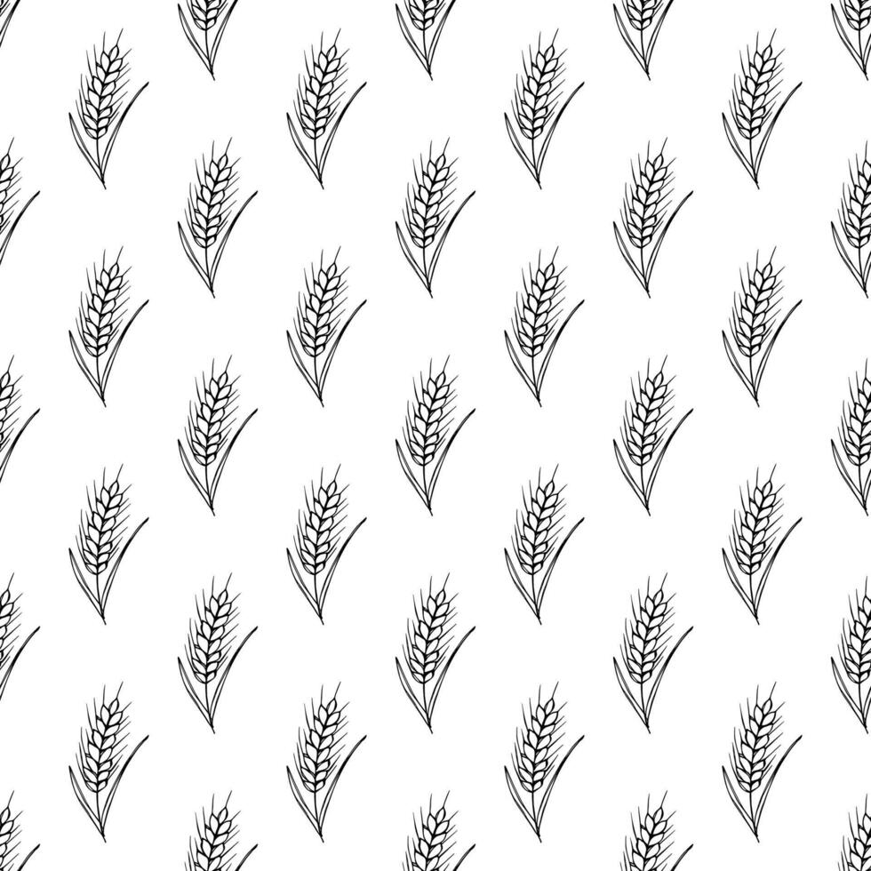 Seamless pattern with wheat doodle for decorative print, wrapping paper, greeting cards, wallpaper and fabric vector
