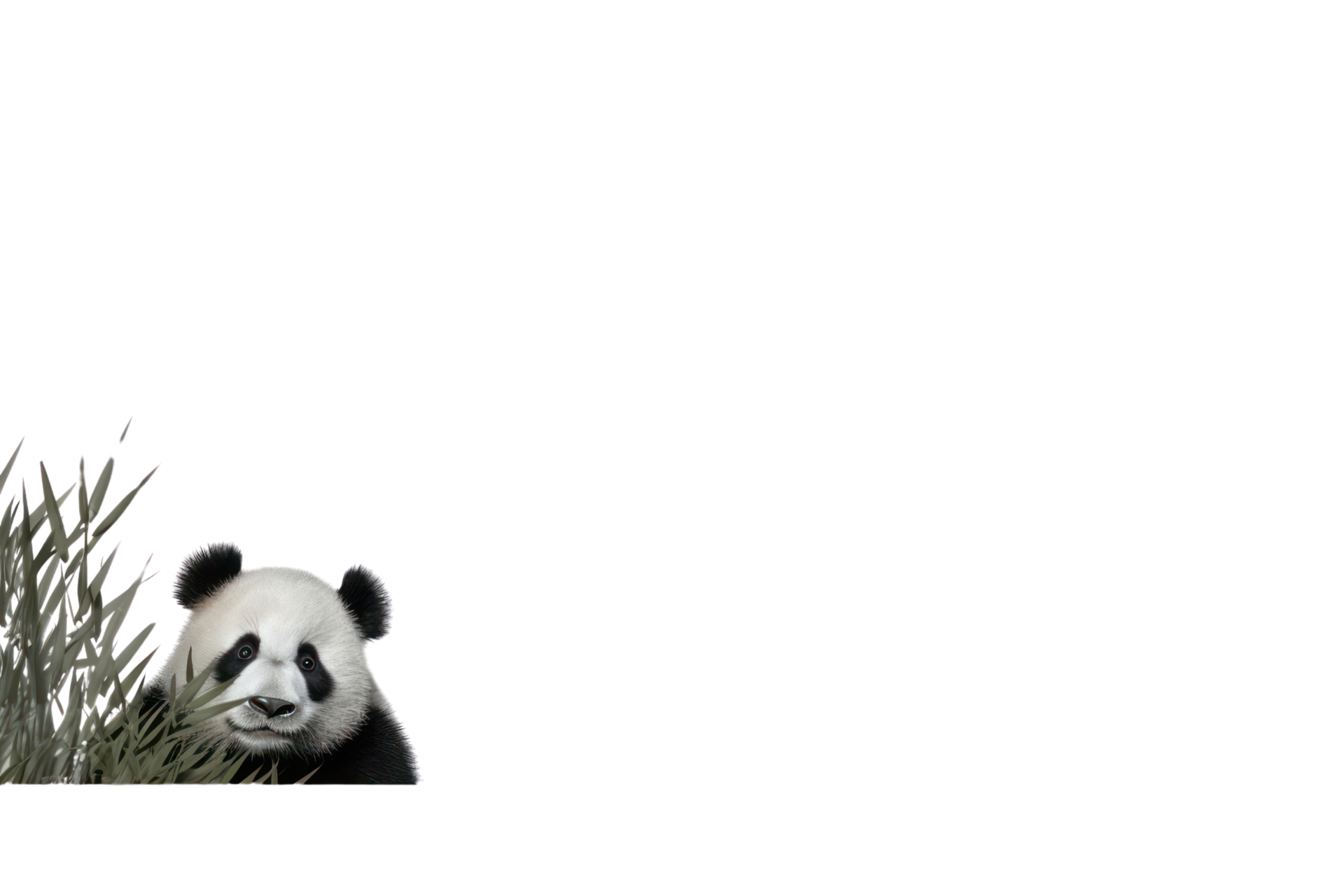AI generated Panda on a transparent background 37749686 PNG