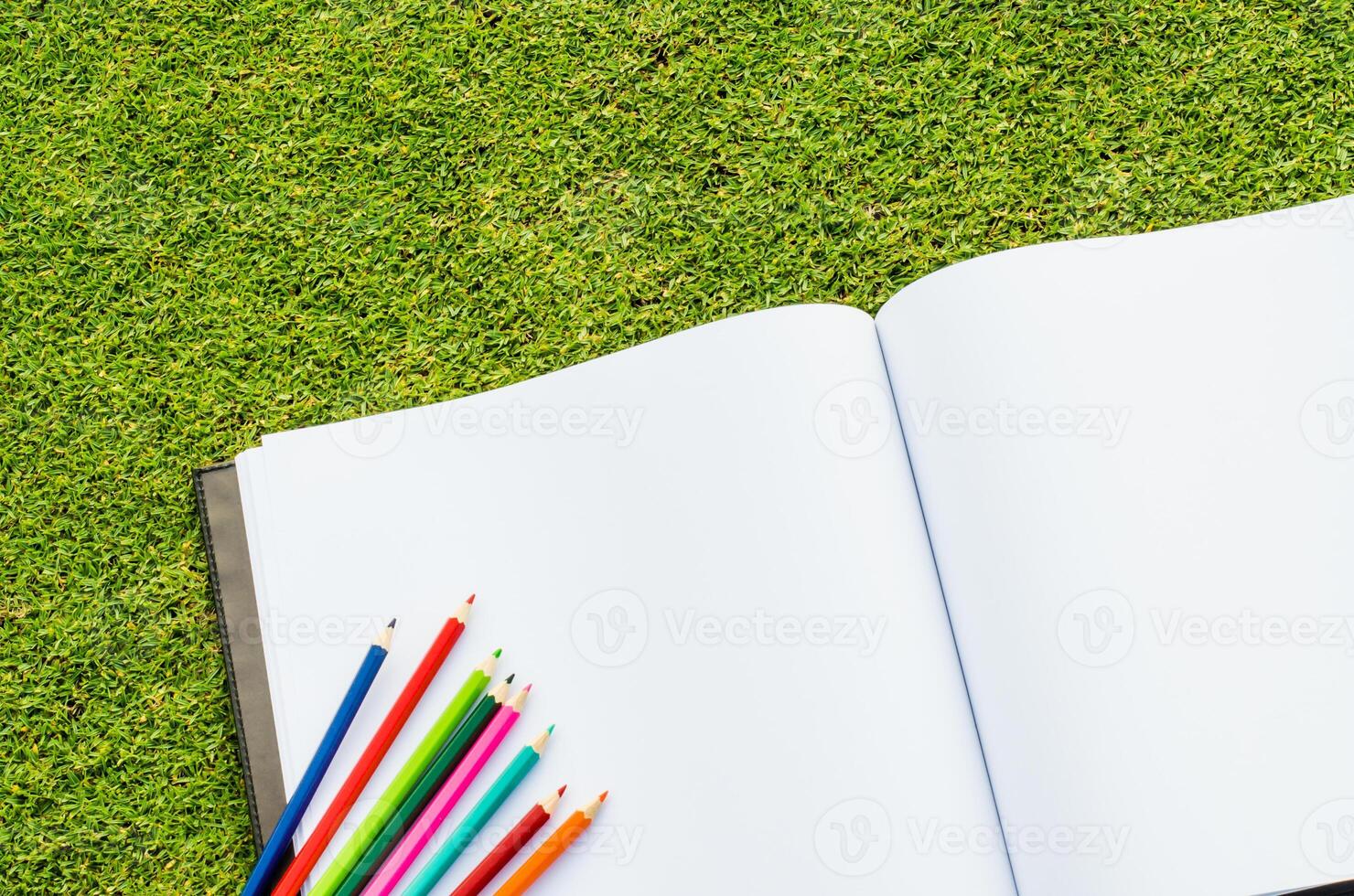 Color pencil and sketchbook on fresh spring green grass photo