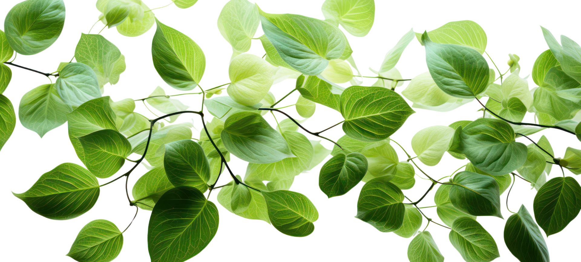 AI generated Green Leaf Dancing isolated on transparent background. png