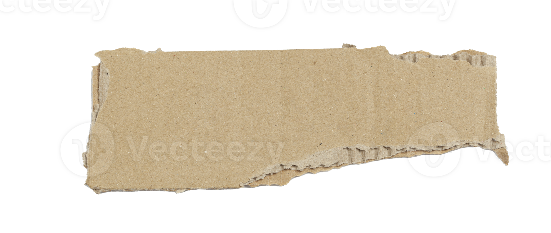 Kraft cardboard piece ripped edge. Isolated on a transparent background png