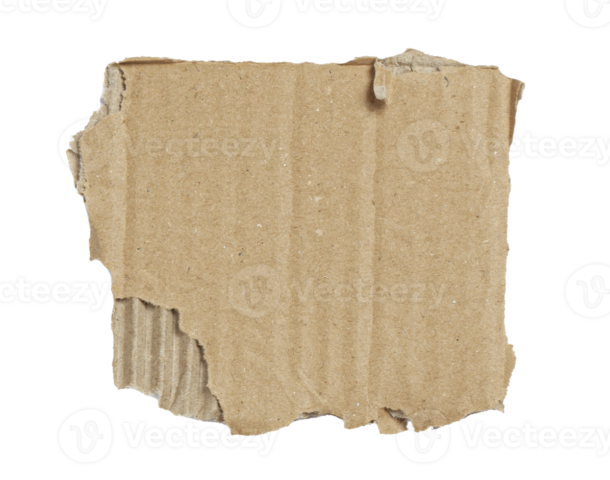 Kraft cardboard piece ripped edge. Isolated on a transparent background png
