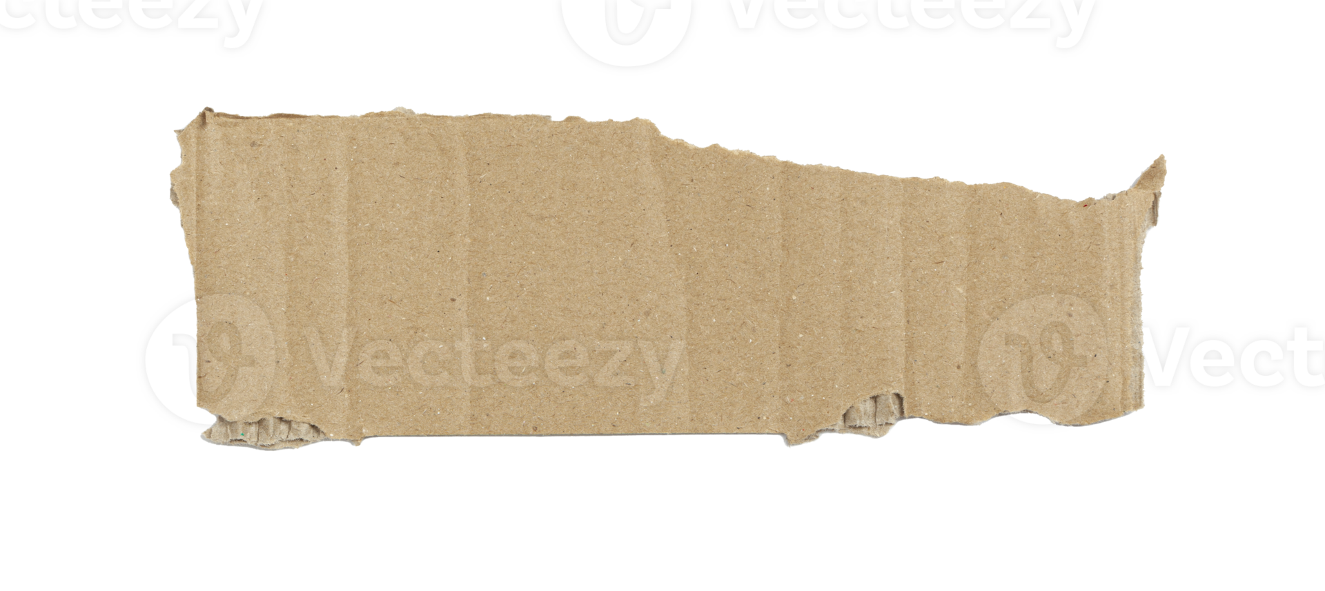 Kraft cardboard piece ripped edge. Isolated on a transparent background png