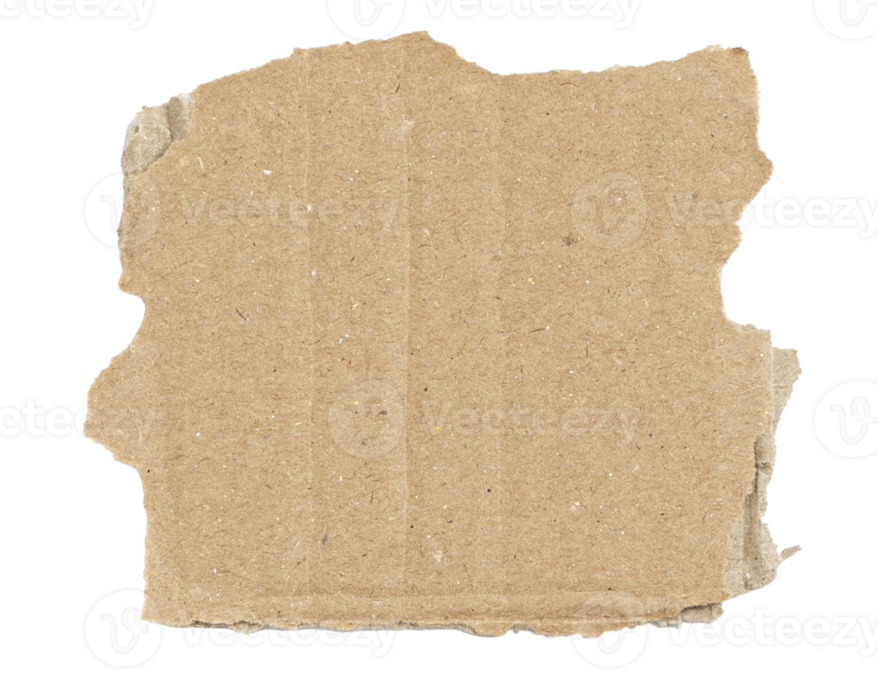 Kraft cardboard piece ripped edge. Isolated on a transparent background png