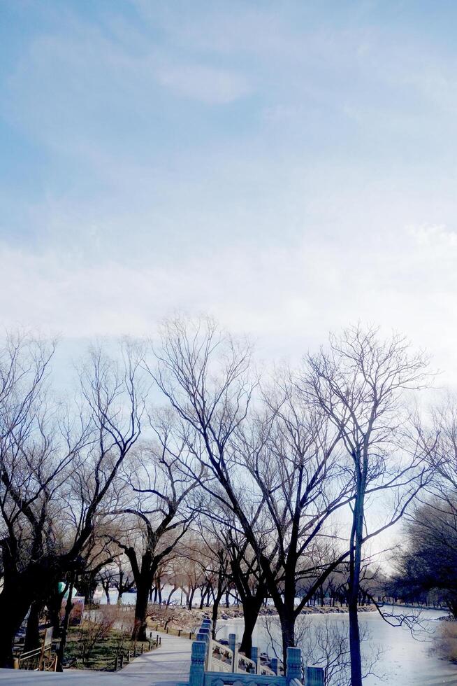 Summer palace west lake view in winter. photo