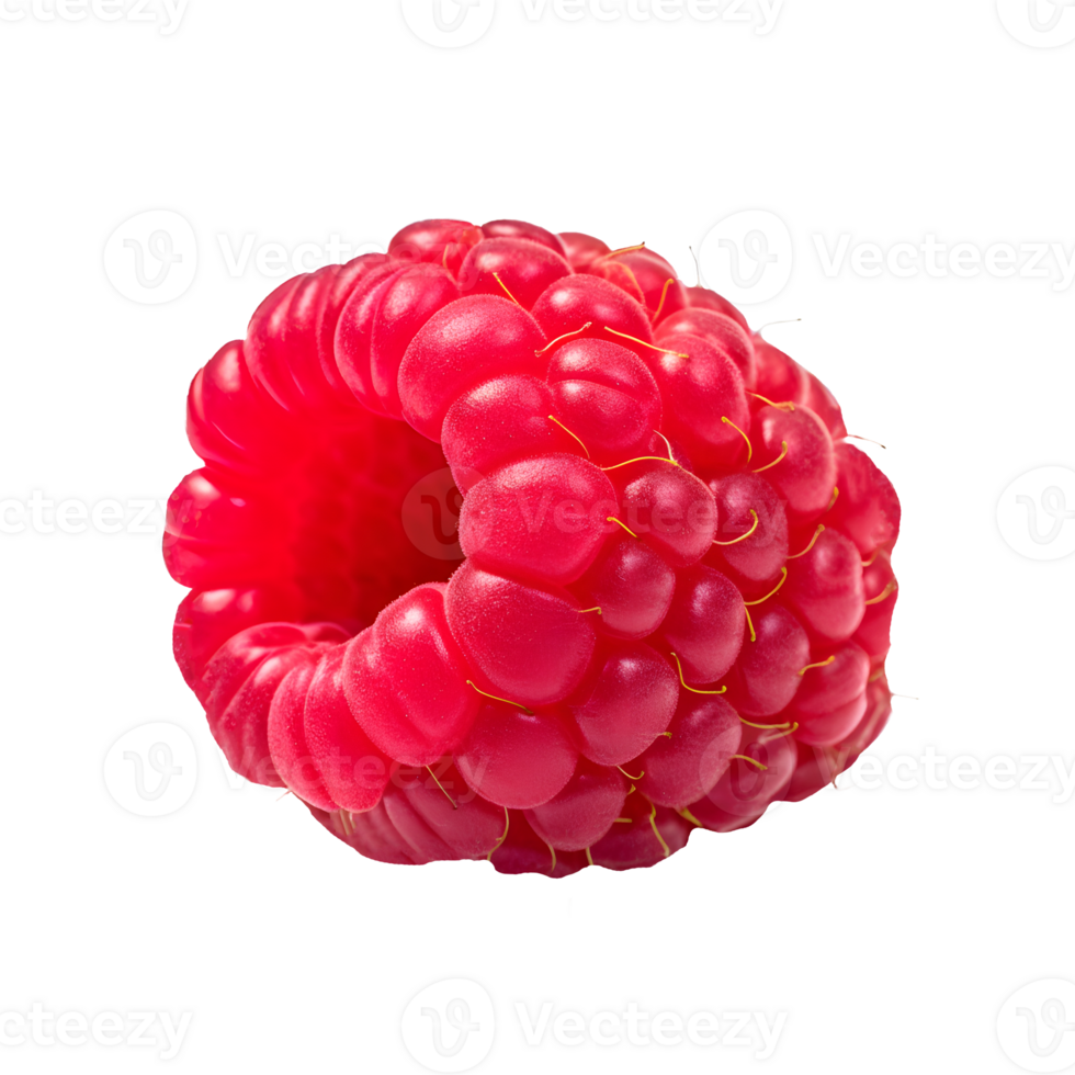 AI generated Close up photo of fresh and ripe raspberry without background png
