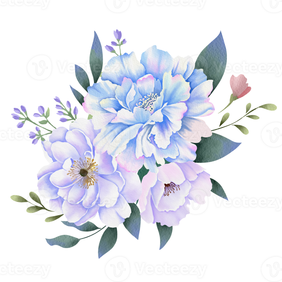 watercolor flowers on transparent background png