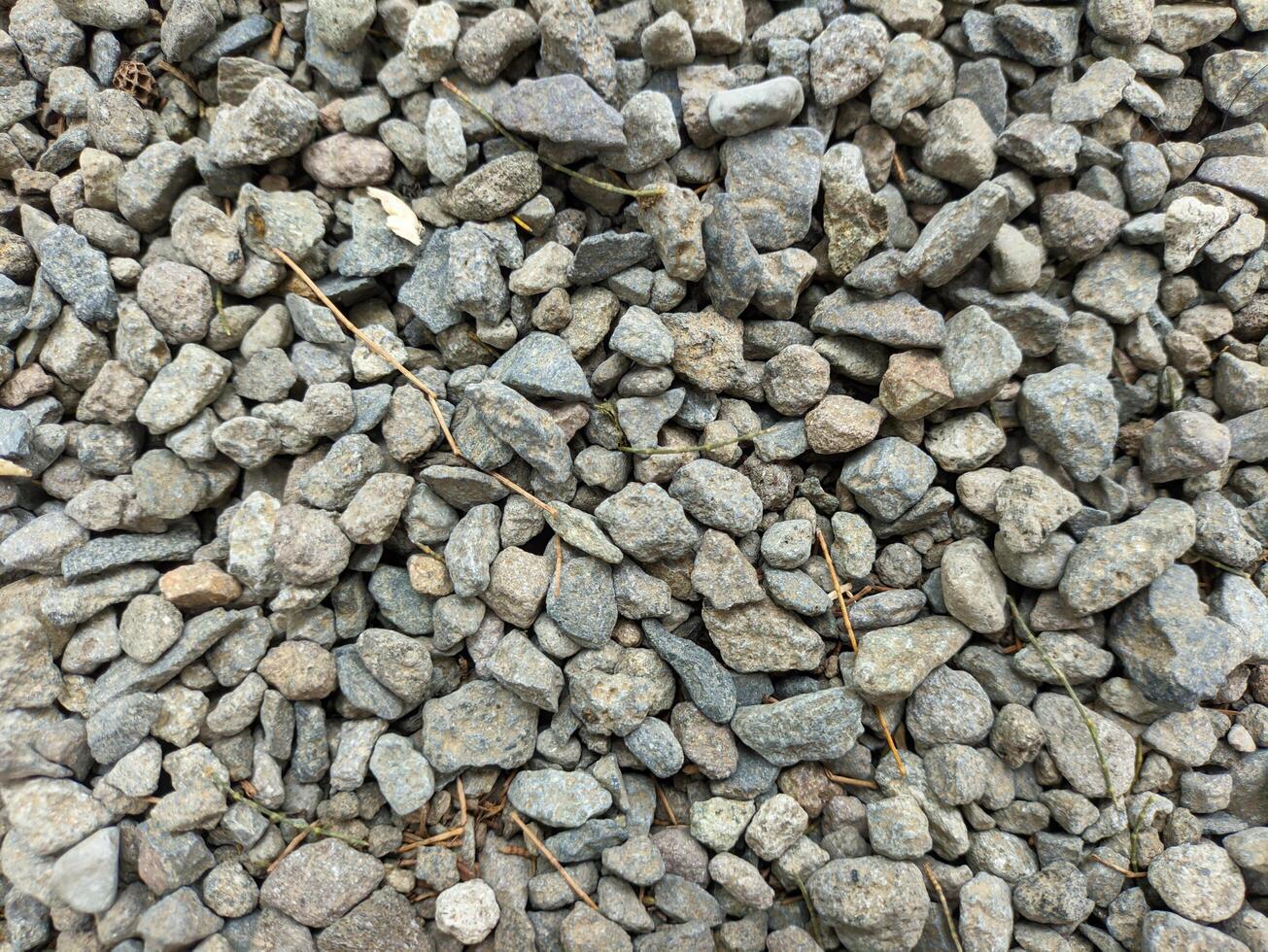 a close up of pebbles texture photo