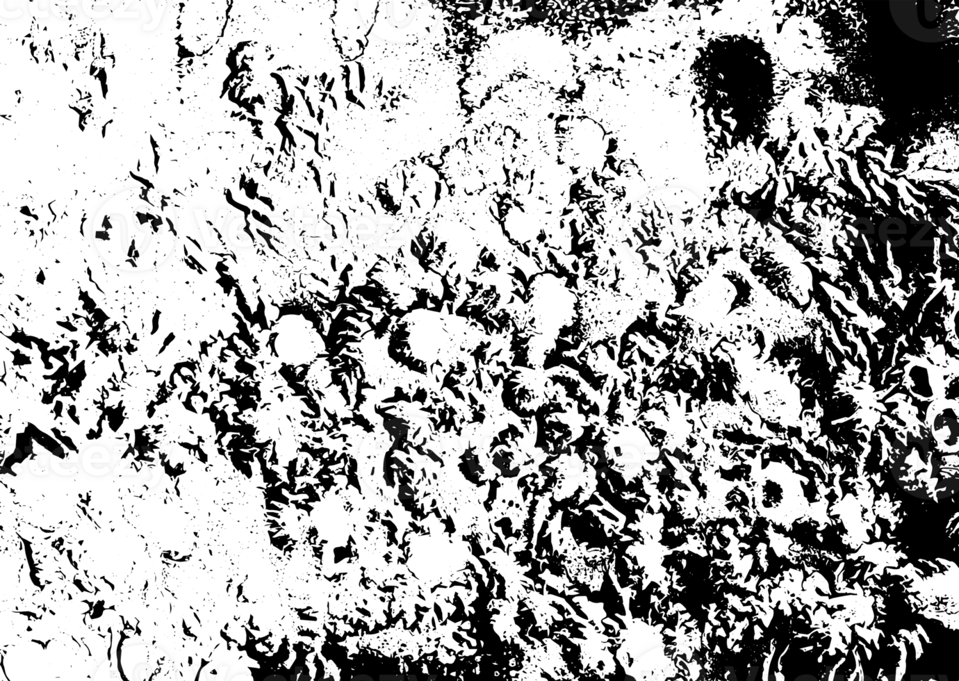Rustic grunge texture with grain and stains. Abstract noise background. PNG graphic illustration with transparent background.