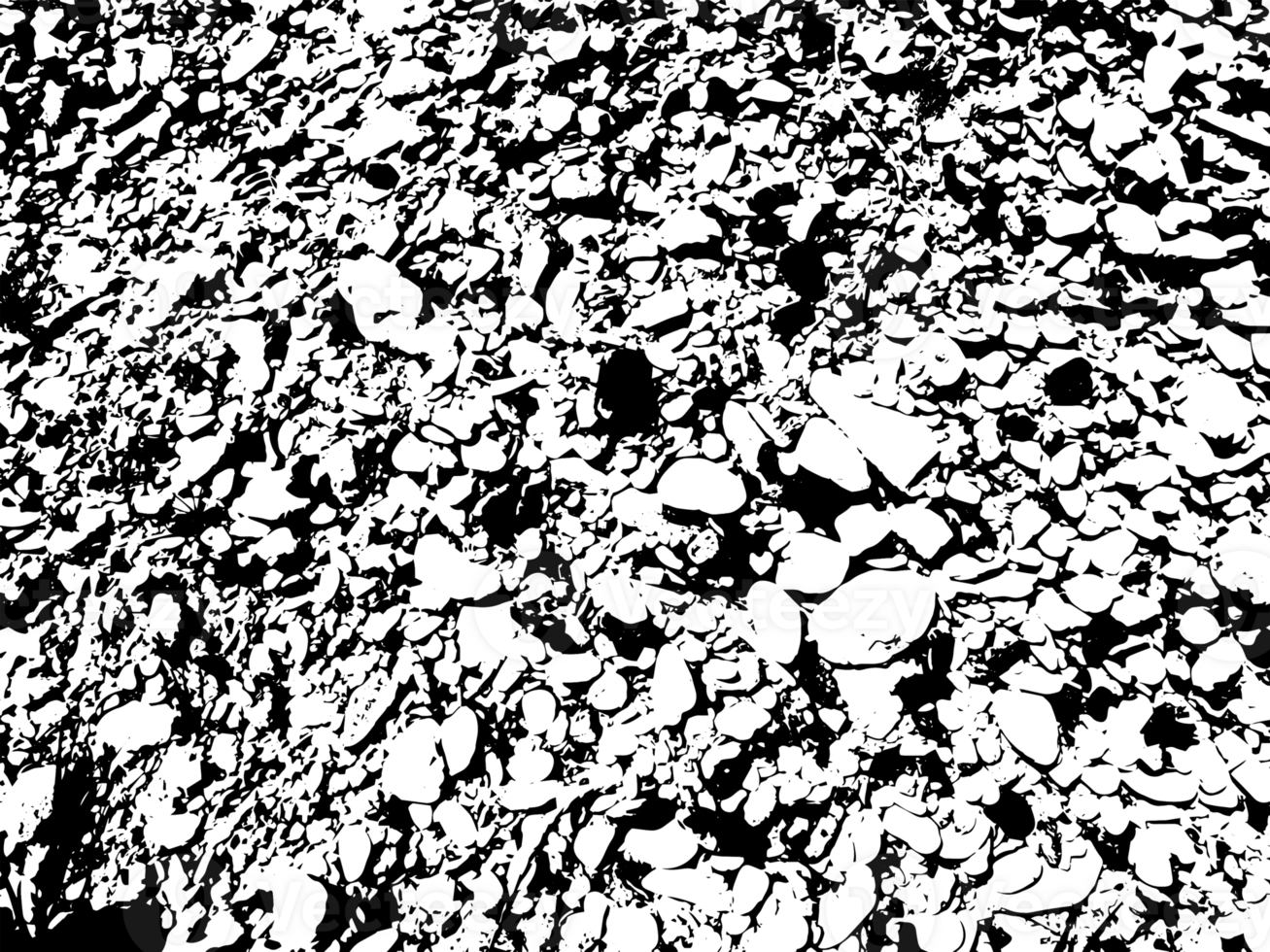 Rustic grunge texture with grain and stains. Abstract noise background. PNG graphic illustration with transparent background.