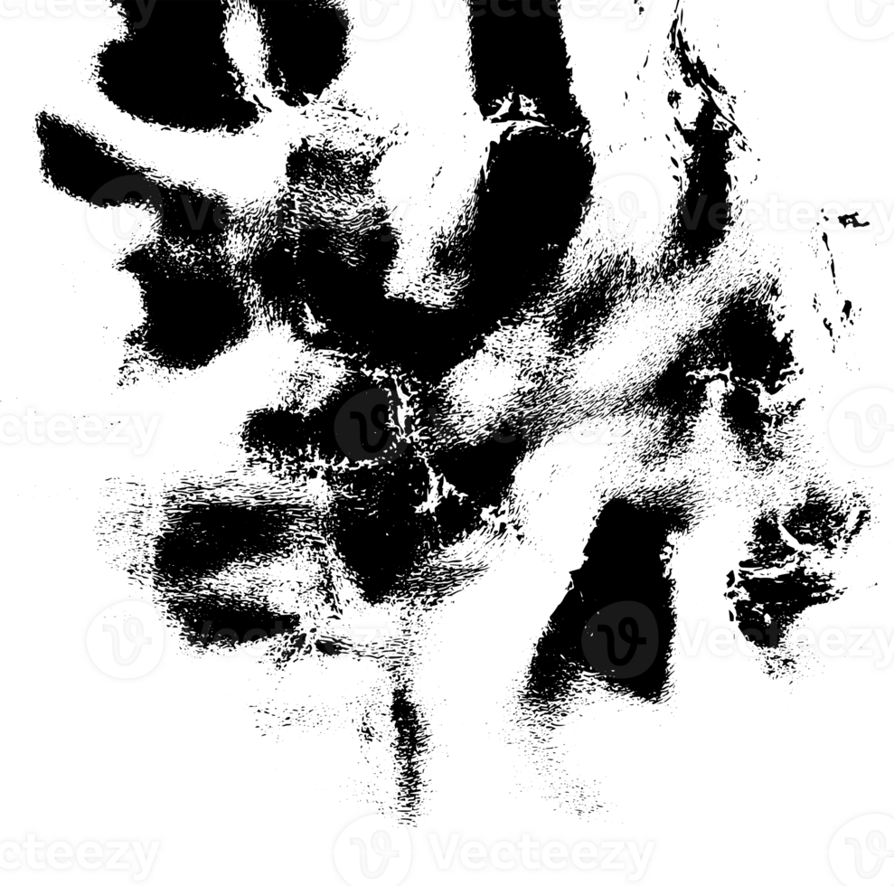 Rustic grunge texture with grain and stains. Abstract noise background. PNG graphic illustration with transparent background.
