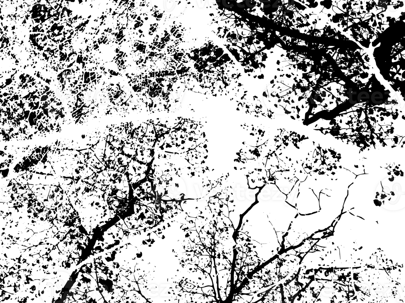 Rustic grunge texture with grain and stains. Abstract noise background. PNG graphic illustration with transparent background.