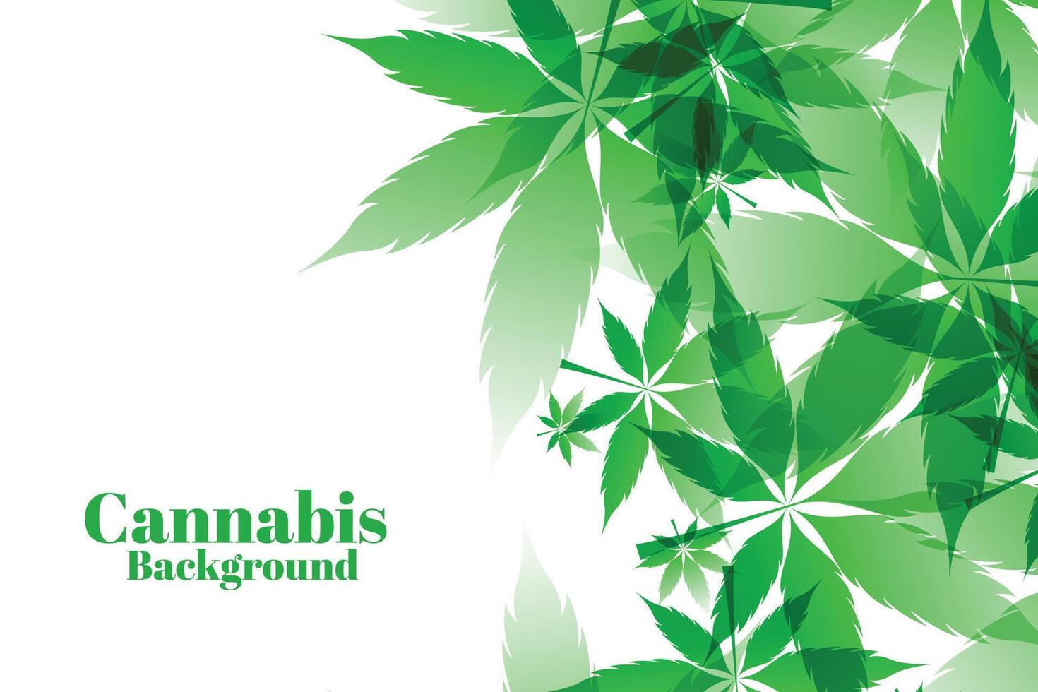 green marijuana leaves on white background vector