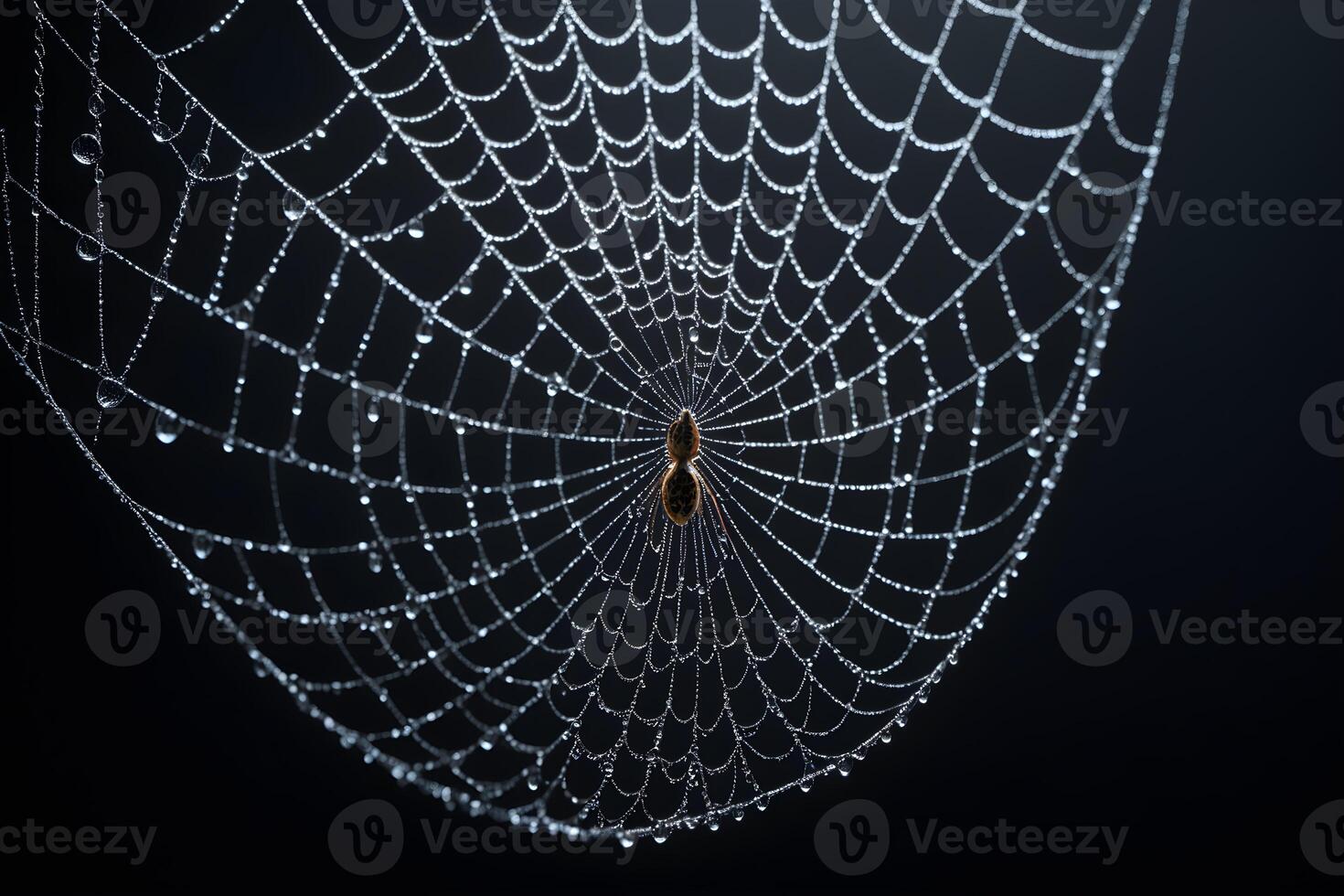 AI generated Spider Web Isolated in Black Background Ai Generative photo