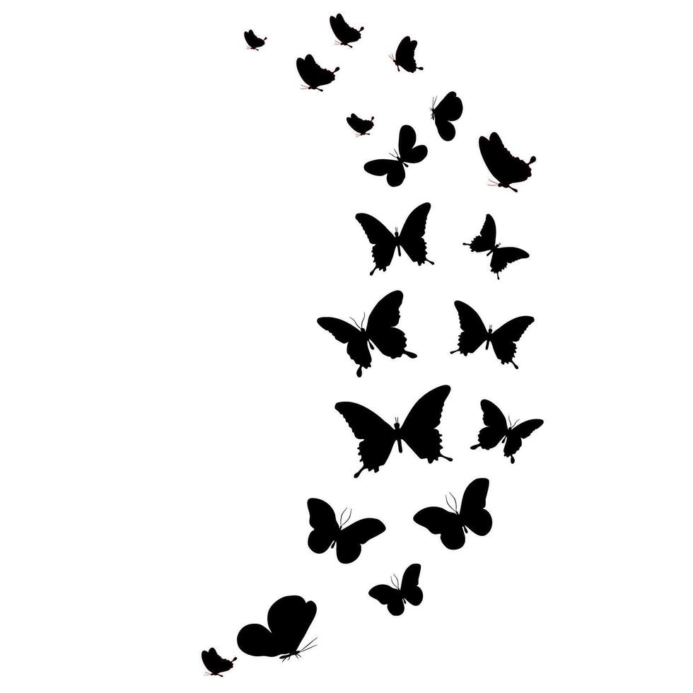 Silhouette beautiful butterflies, isolated on transpant background vector