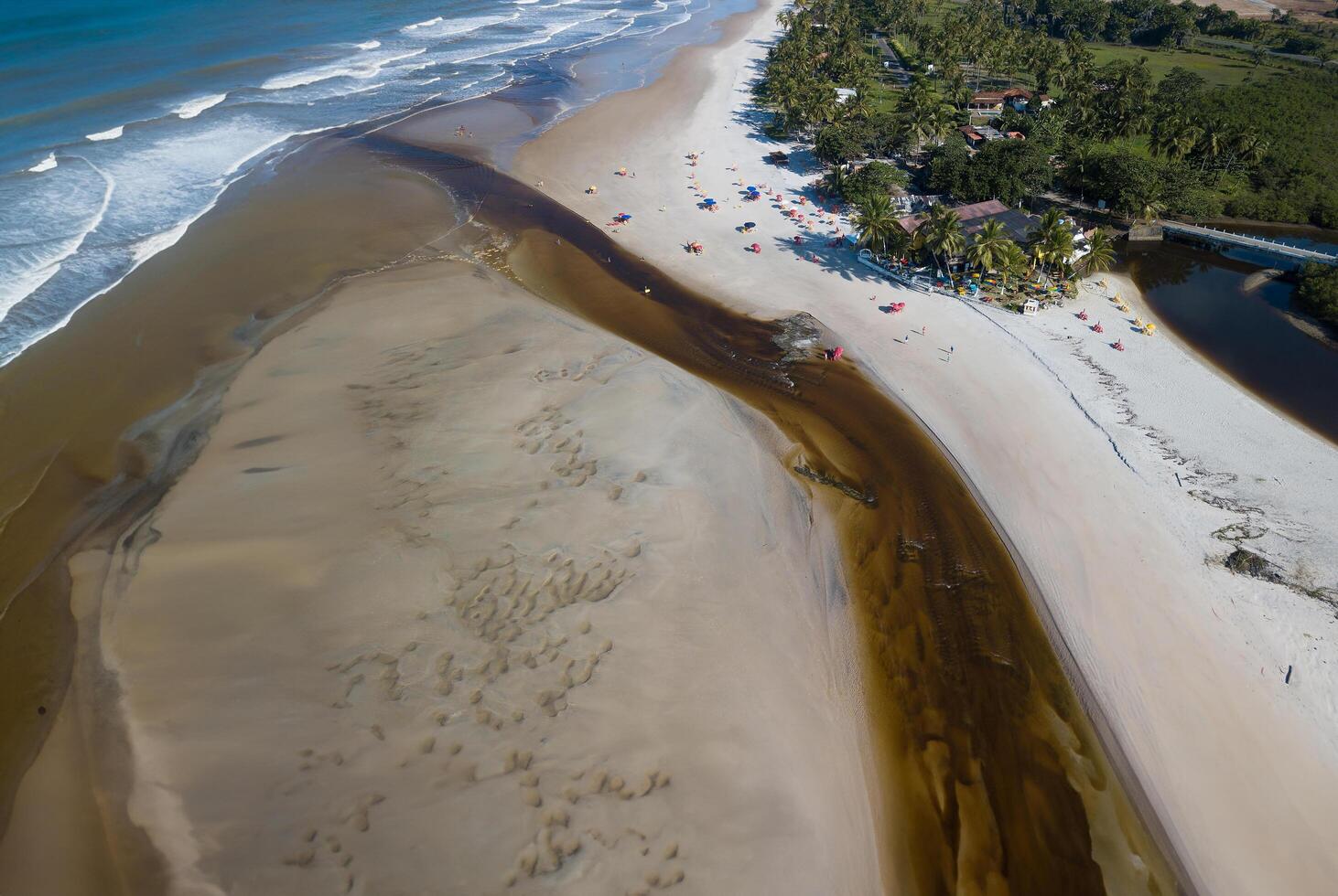 aéreo ver de cururupé playa en ilheus bahia Brasil. foto