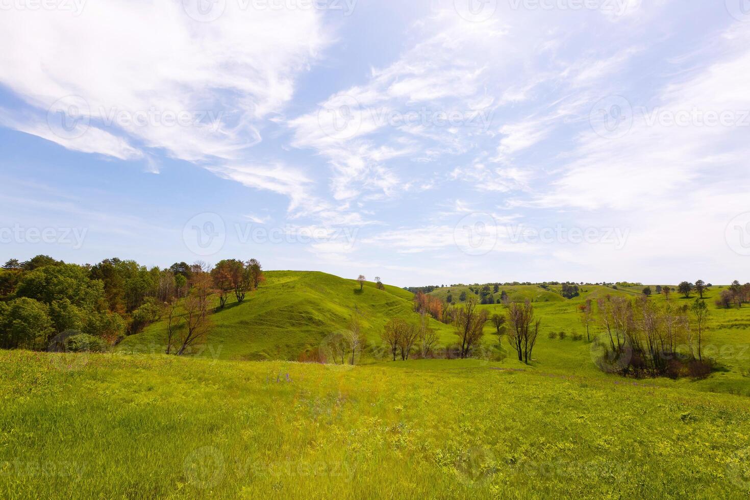 Spring photography, meadows, fields, ravines, hills, rural landscape. A deep, narrow gorge with steep slopes. A naturally raised area of land, not as high or craggy as a mountain. photo