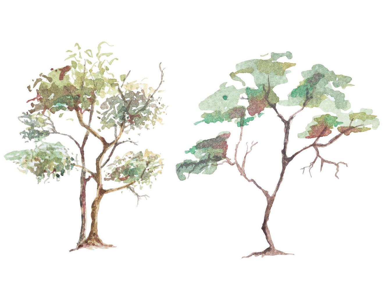 Hand drawn tree watercolor painting.Illustration autumn tree.For decorating cards, posters. vector