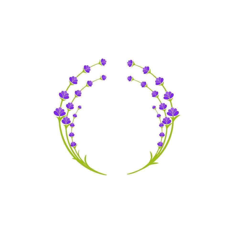 Lavender flower Vector icon illustration