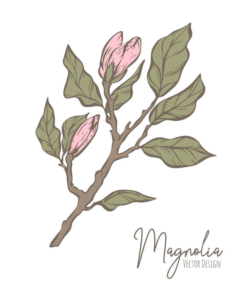 magnolia flor línea ilustración. dibujado a mano contorno contorno de Boda hierba, elegante hojas para invitación salvar el fecha tarjeta. botánico de moda verdor vector colección para web, imprimir, carteles