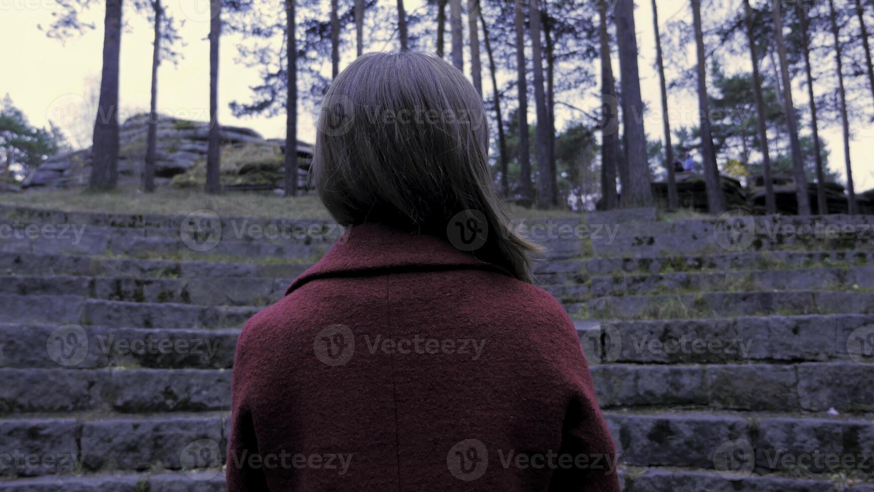 Rear view of girl in red standing in forest. Hipster girl in a brown dress ,standing alone in a forest ,back to the camera. Girl from behind red hair at forest waving hair photo