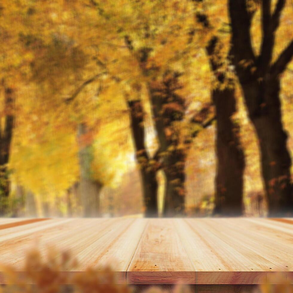 Wooden table top on nature background - can be used for montage or free display of your products photo