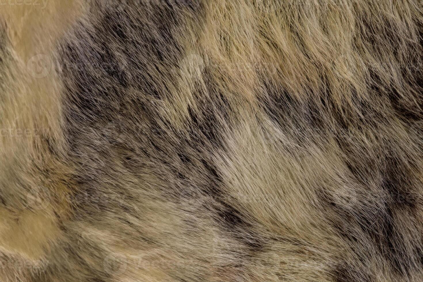 Fur texture close up. Fur on winter women's clothing. photo