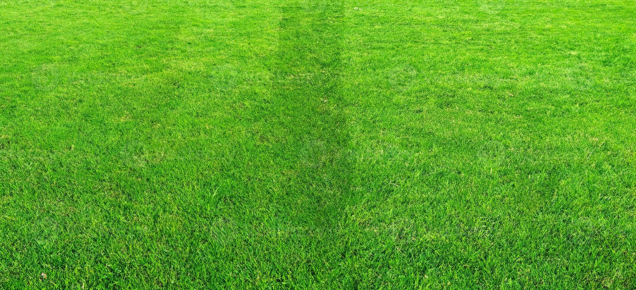 Green grass field pattern background for soccer and football sports. Green lawn pattern and texture for background. photo