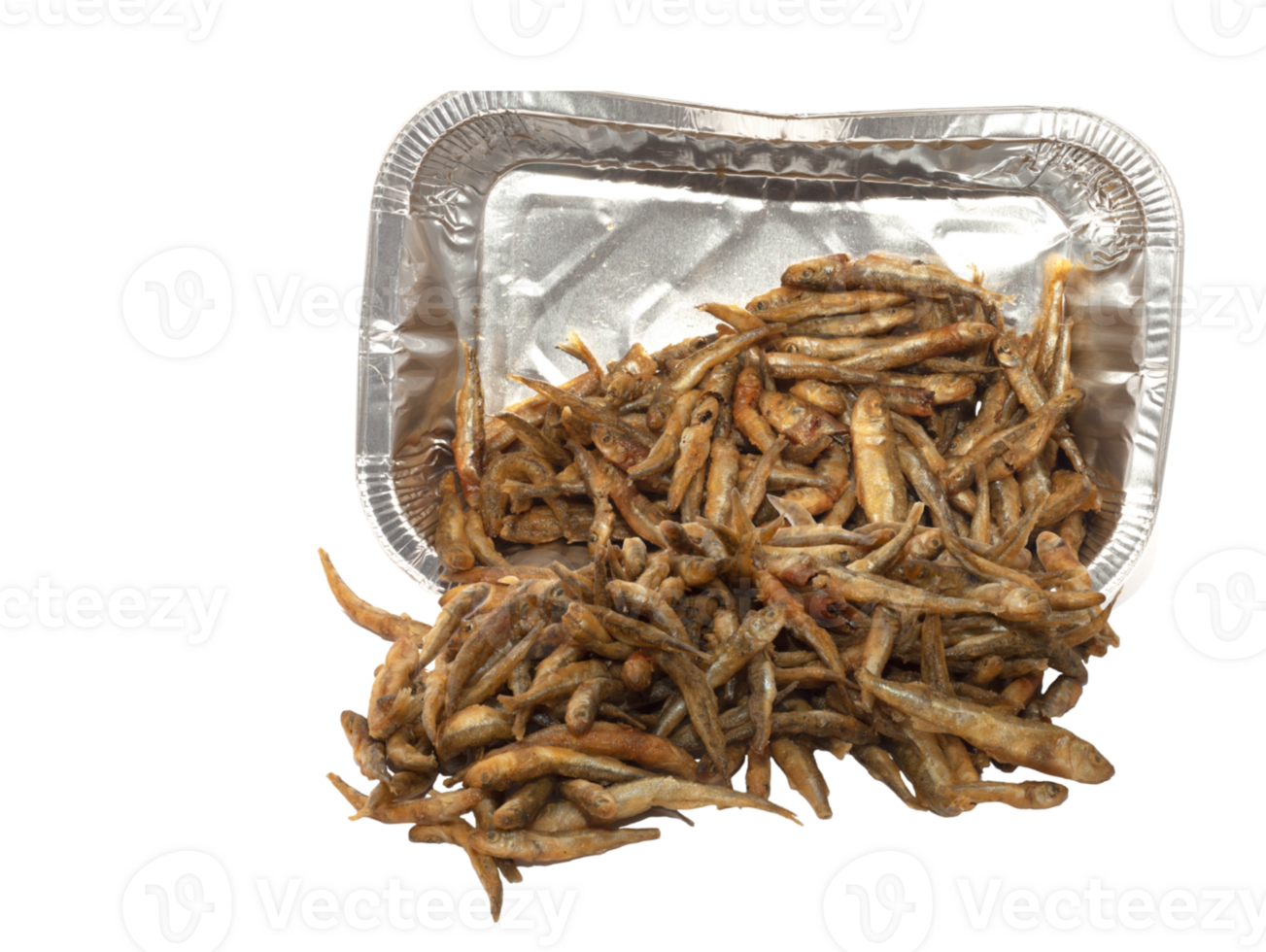 fried fish acquarelle png