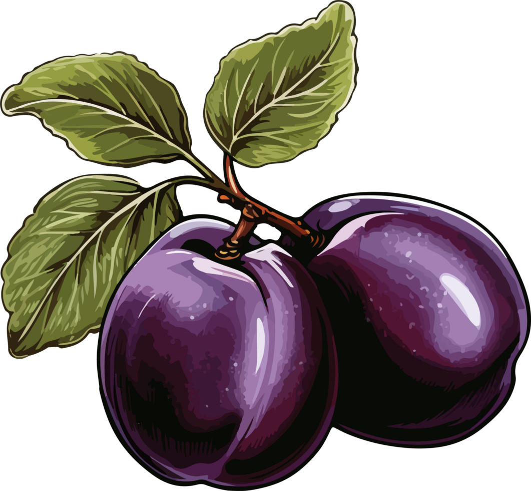 AI generated plum design illustration isolated on transparent background png