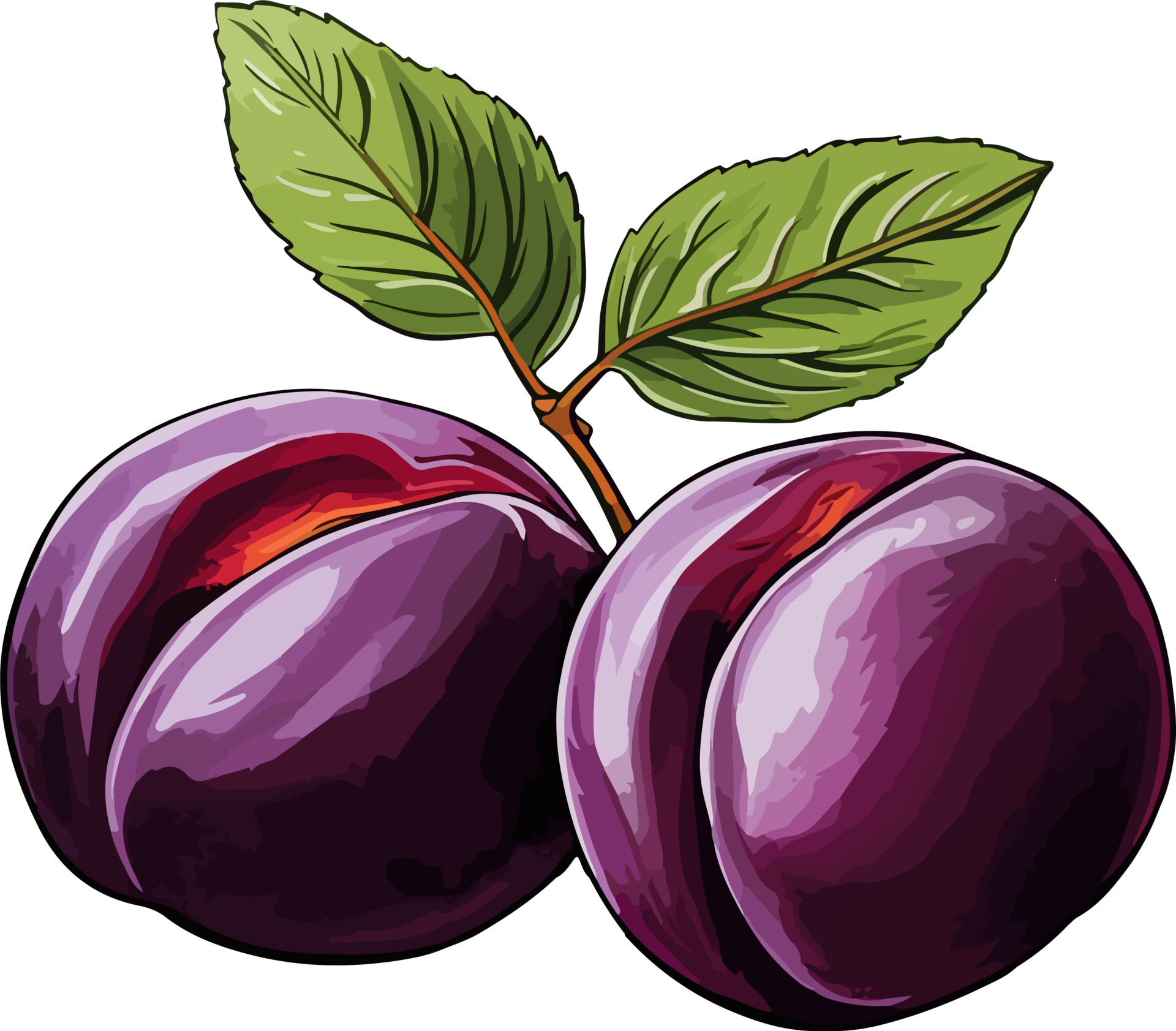 AI generated plum design illustration isolated on transparent