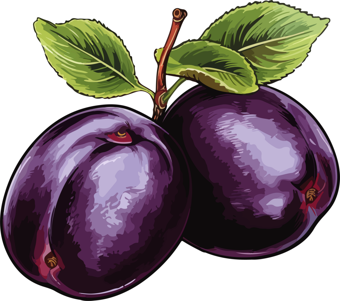 AI generated plum design illustration isolated on transparent background png