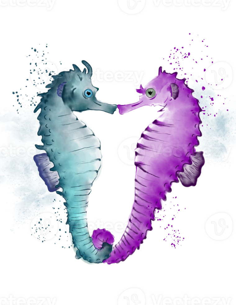 Loving seahorses mating for life illustration png