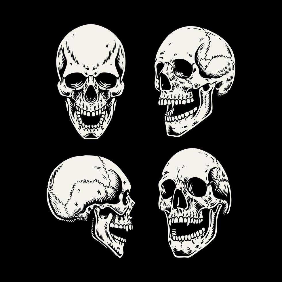 skull head. vector human bones