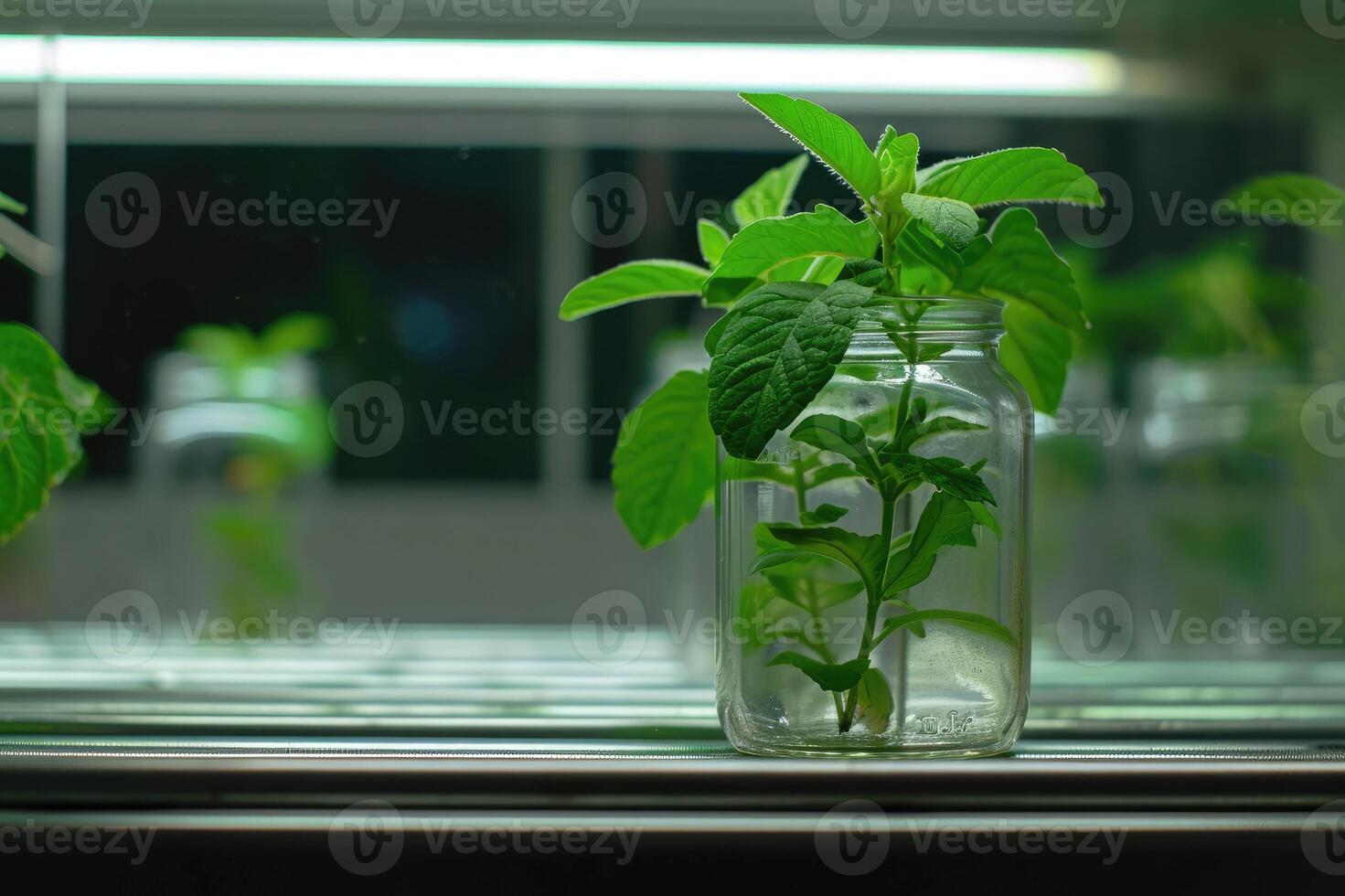 AI generated Plant research, green plant in a glass jar in a laboratory. Ecological breeding and plant development. photo