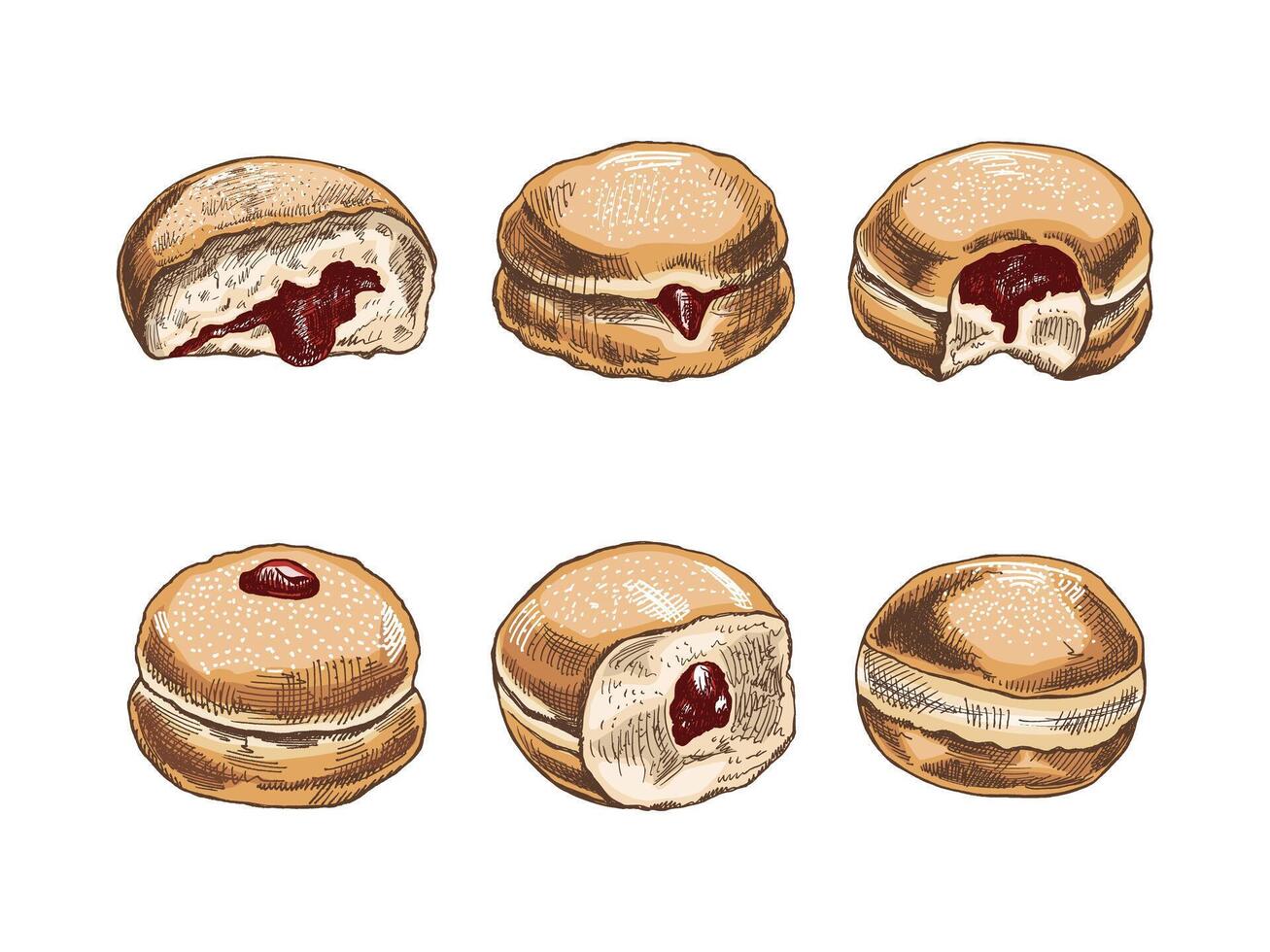 un conjunto de dibujado a mano de colores bocetos de un tradicional alemán o polaco rosquilla con mermelada, desempolvado. Clásico ilustración. Pastelería dulces, postre. elemento para el diseño de etiquetas, embalaje y postales vector