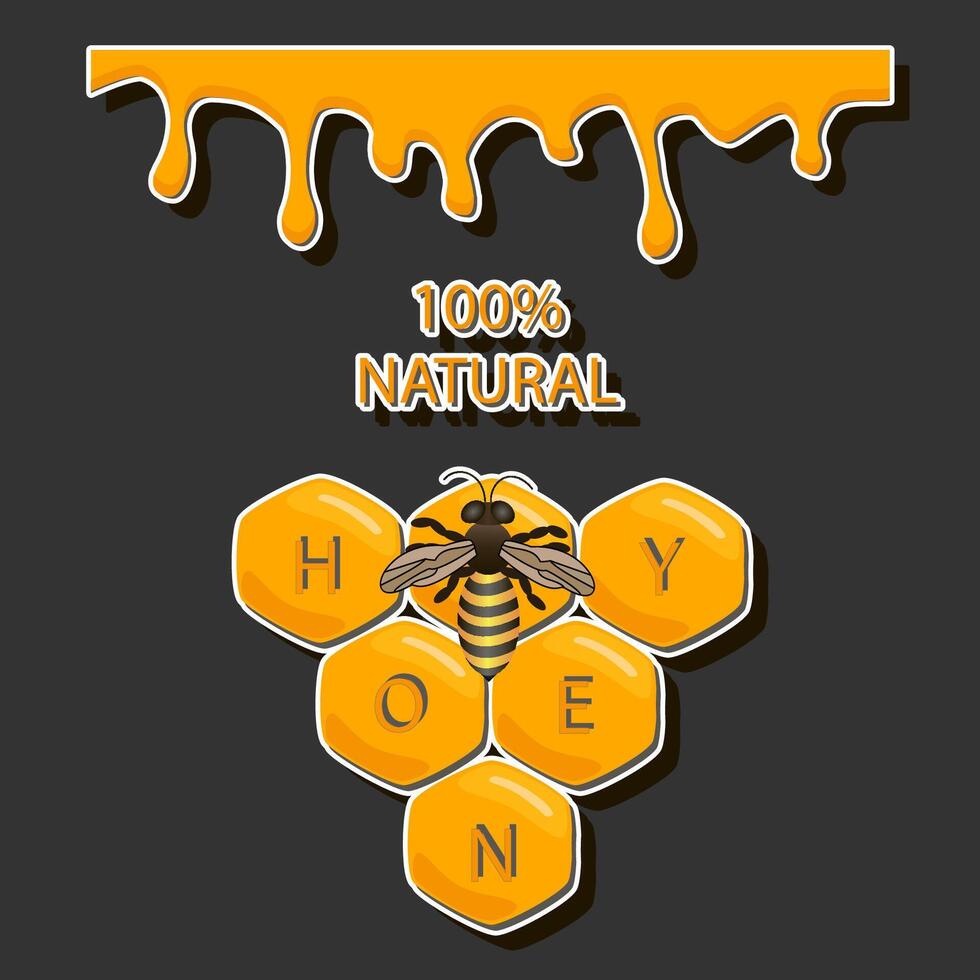 Drop of bee honey drip from hexagonal honeycombs filled with golden nectar vector