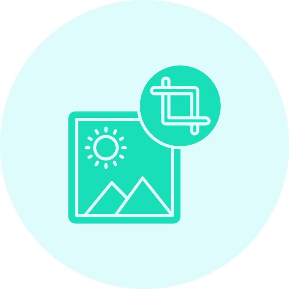 Crop Solid duo tune Icon vector