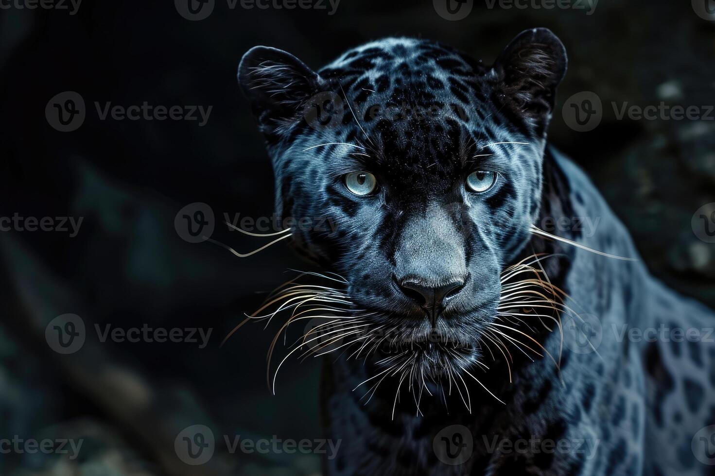 AI generated Front view of Panther on dark background. photo