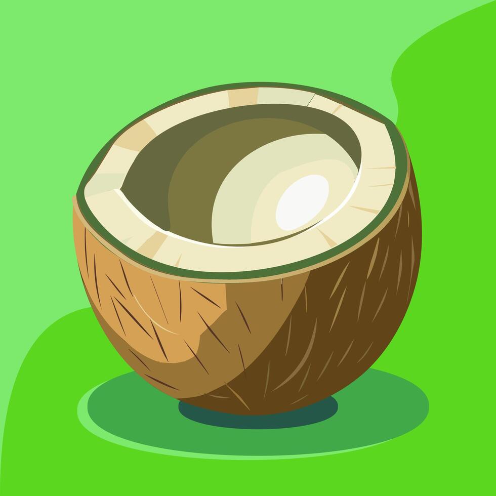 Coconut on green background. Vector illustration in cartoon style.