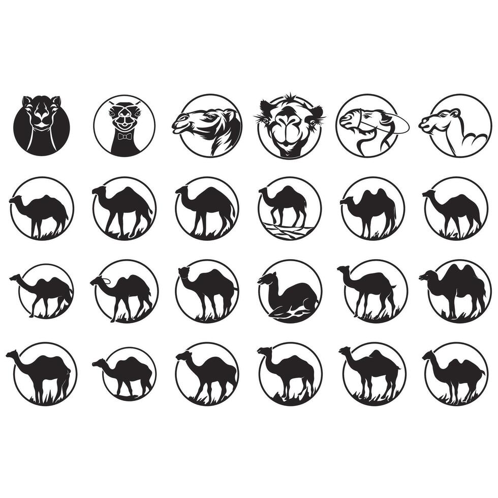 collection of camel logos vector