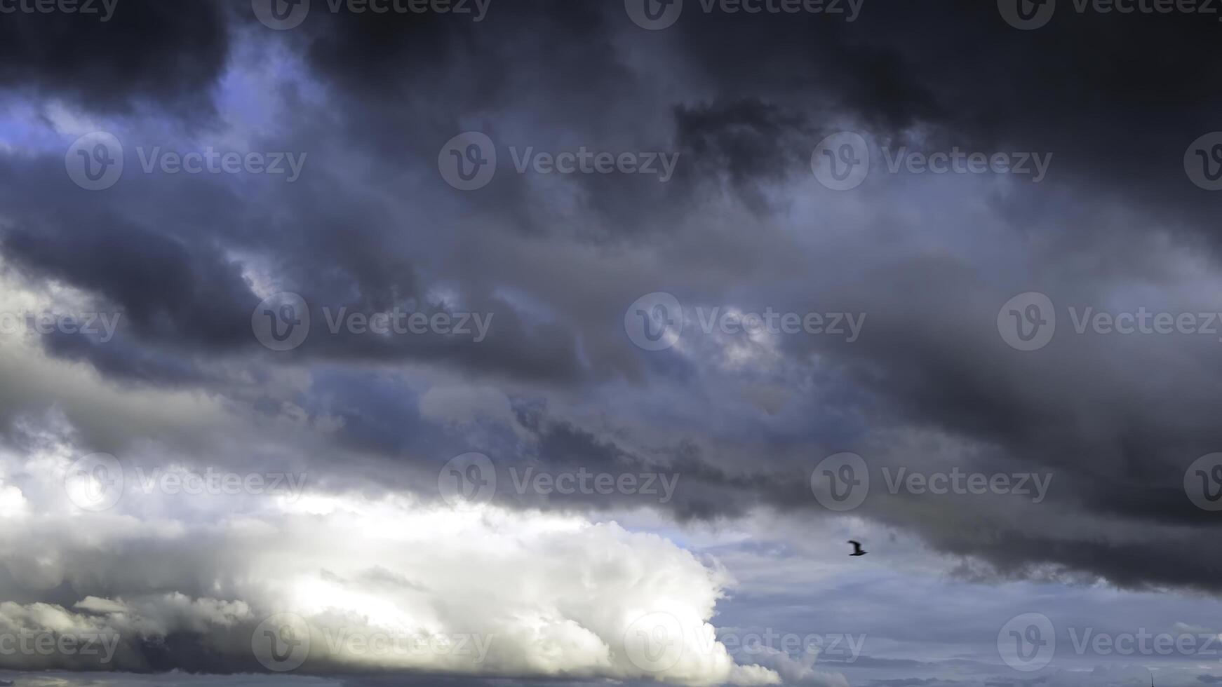 A bird flying against stormy clouds on a summer day. Concept. Bottom view of heavy beautiful clouds flowing in the blue sky before the storm or rain. photo