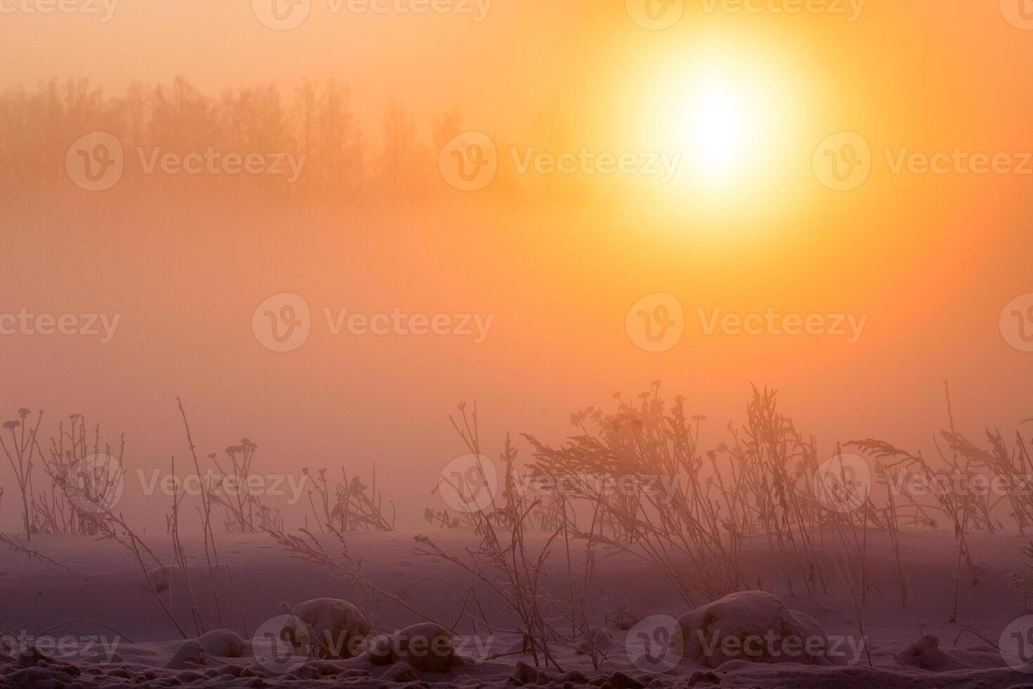 dreamy winter fog background photo