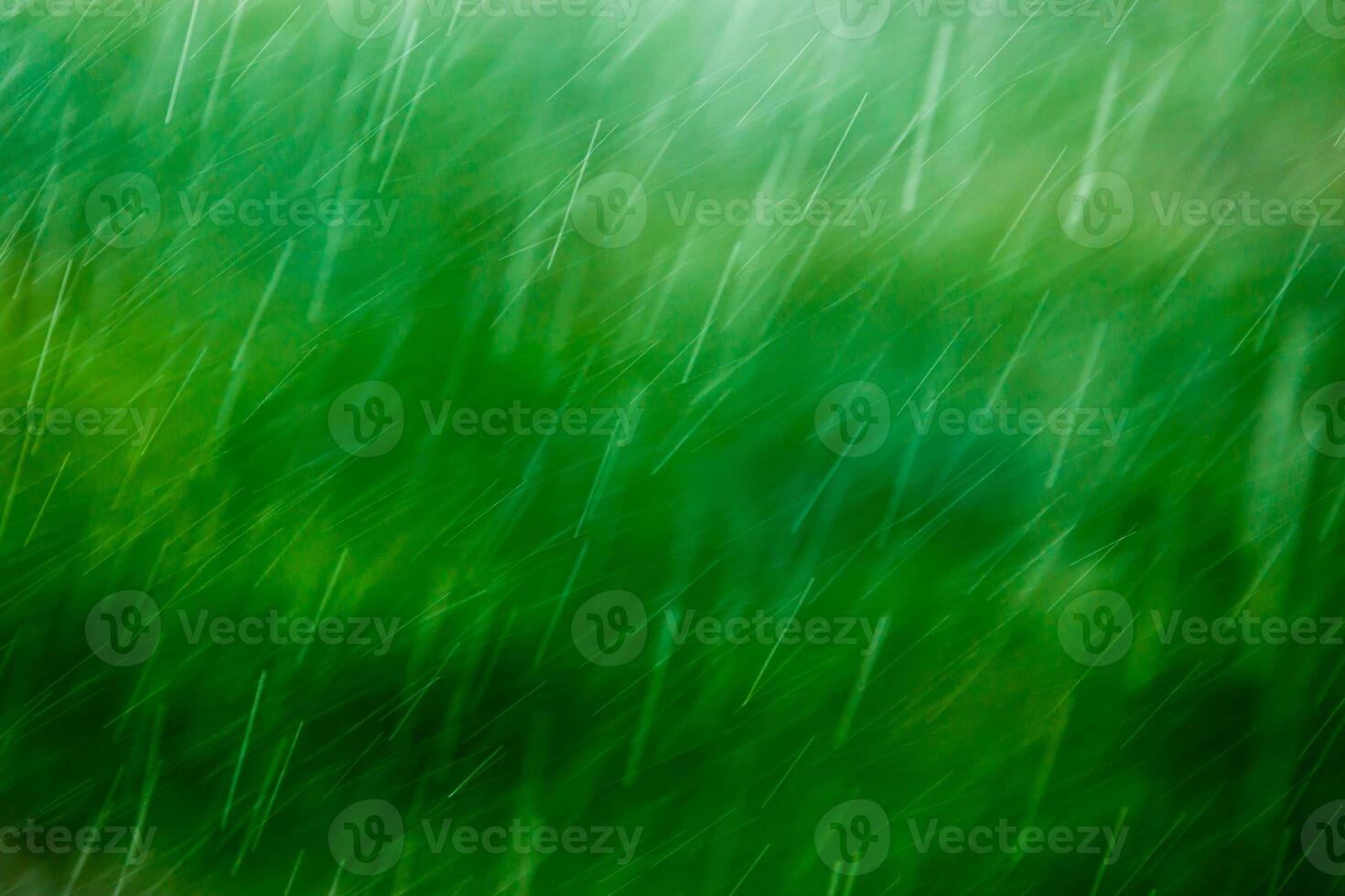 gotas de lluvia que caen borrosas sobre fondo verde con enfoque selectivo foto