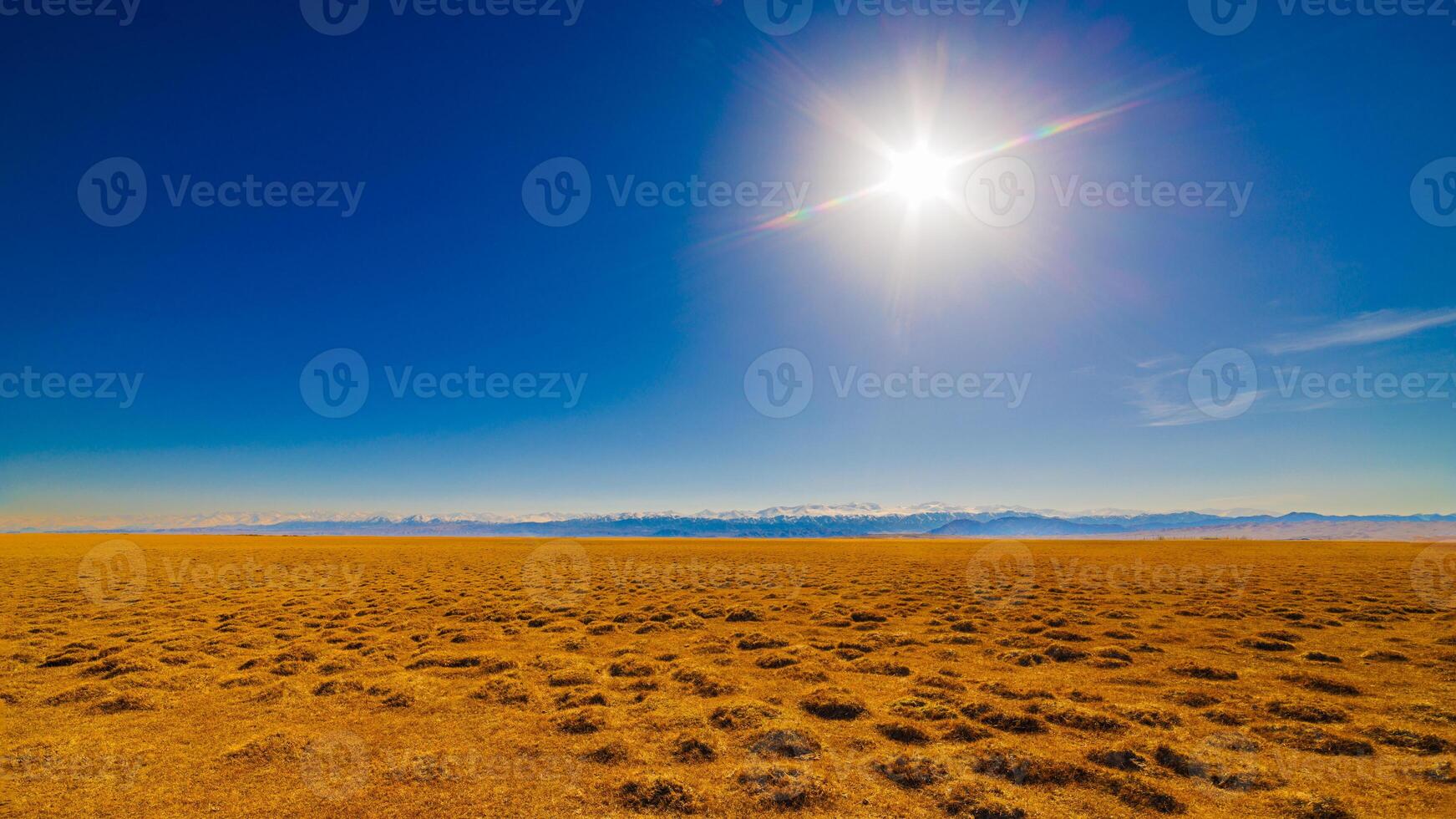 field covered with dry grass bumps with distant high mountains on the horizon, wide angle view photo