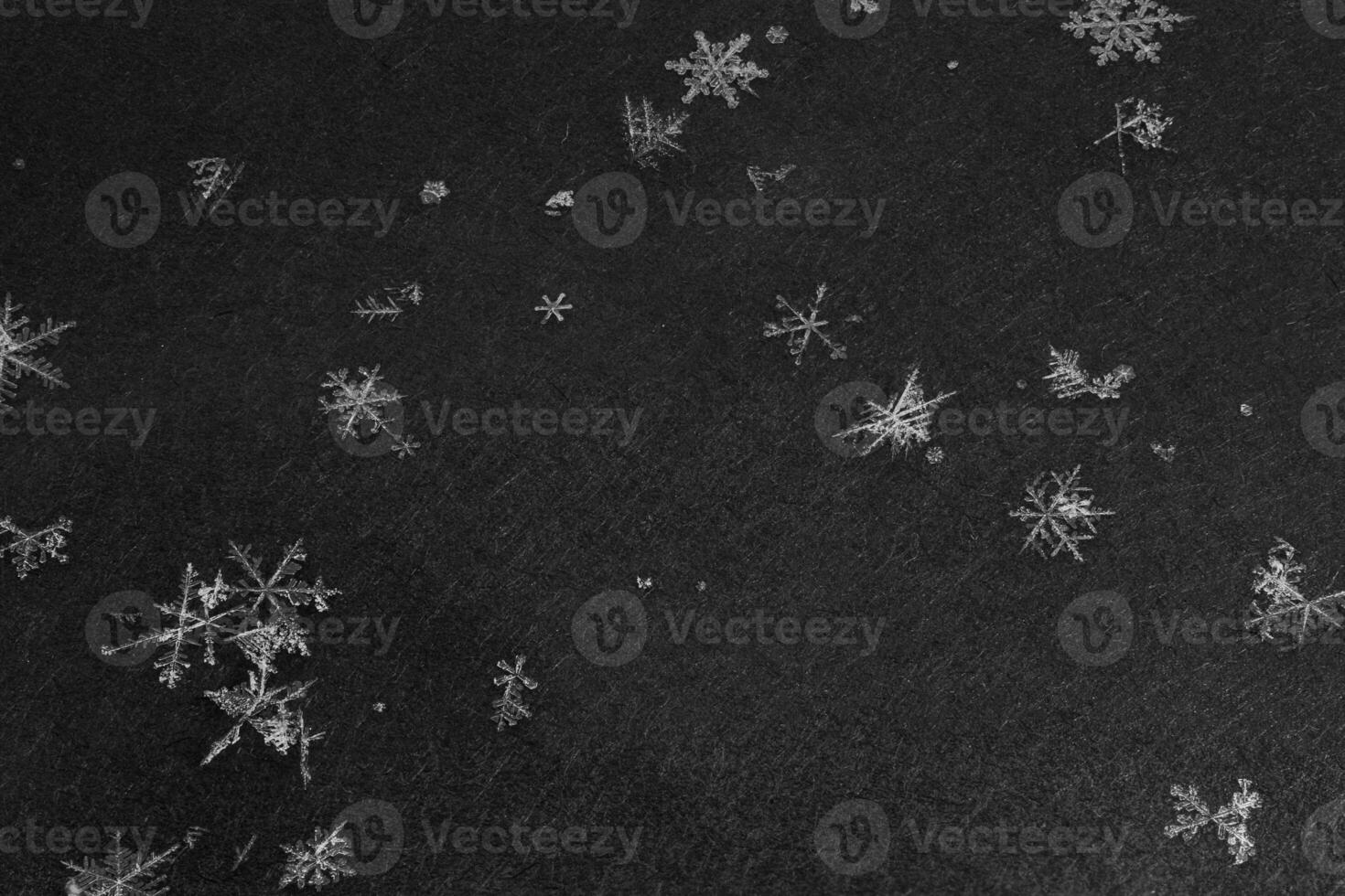 snowflakes with high magnification on dark gray background photo