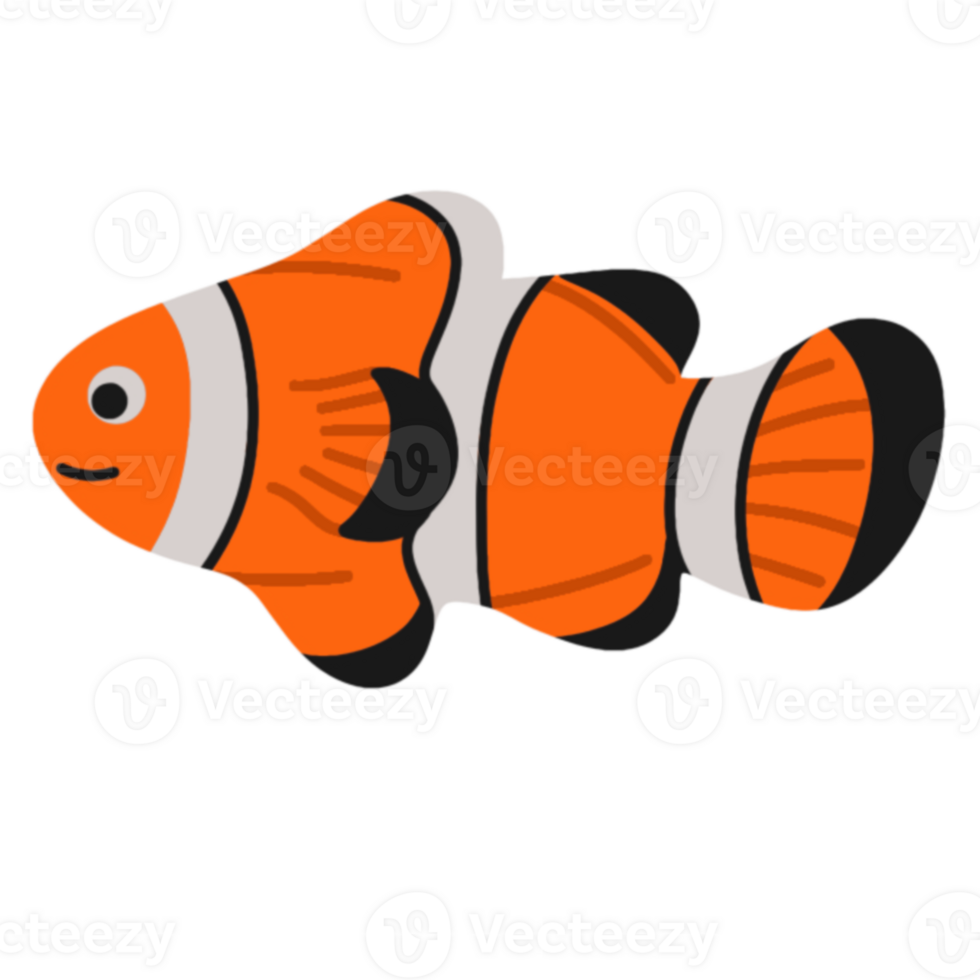Nemo fish character illustration png